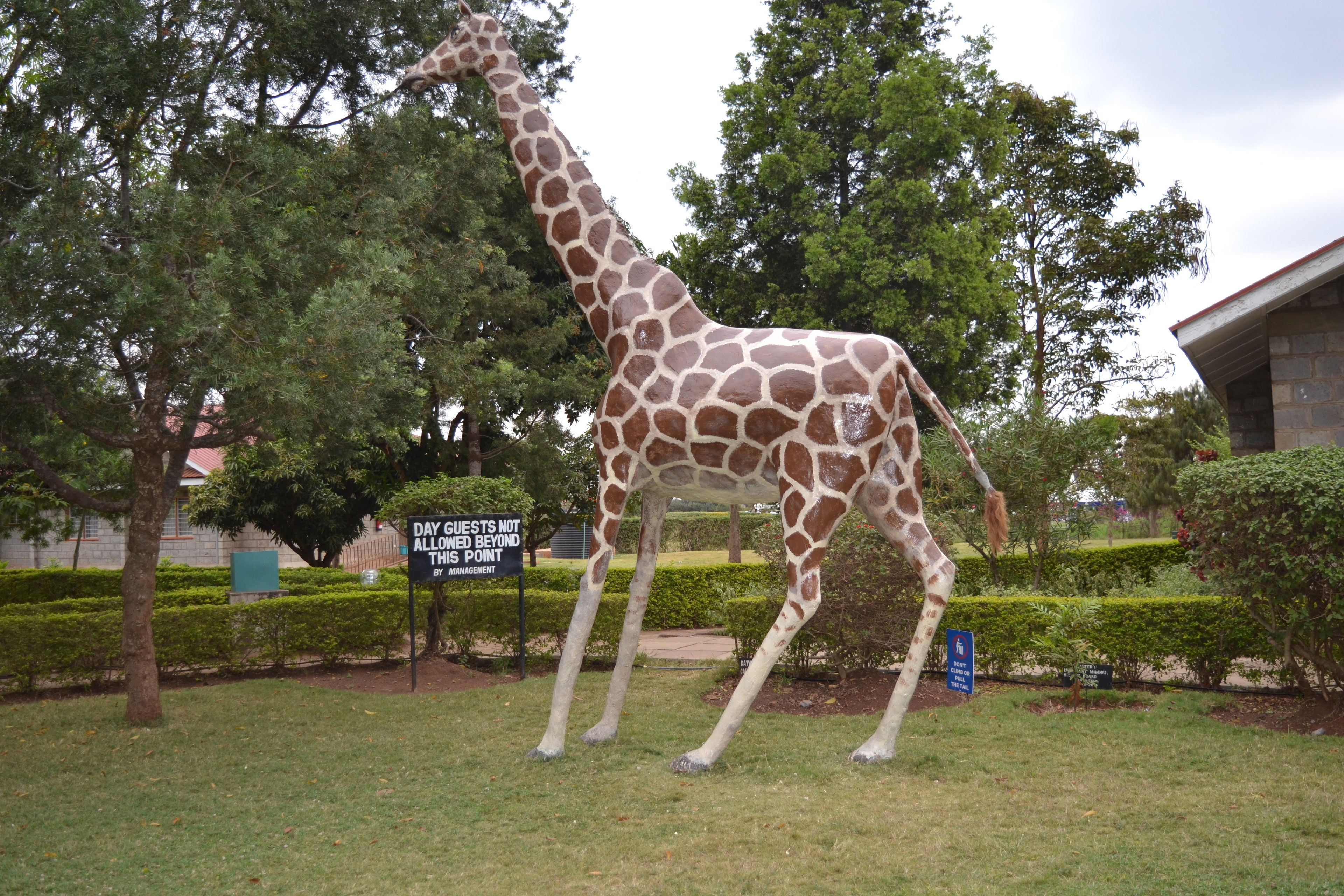 A giraffe statue in a grassy area with trees and a building in the background.