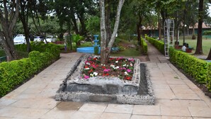 Uma trilha pavimentada com um canteiro de flores no centro, cercada por sebes aparadas e árvores.