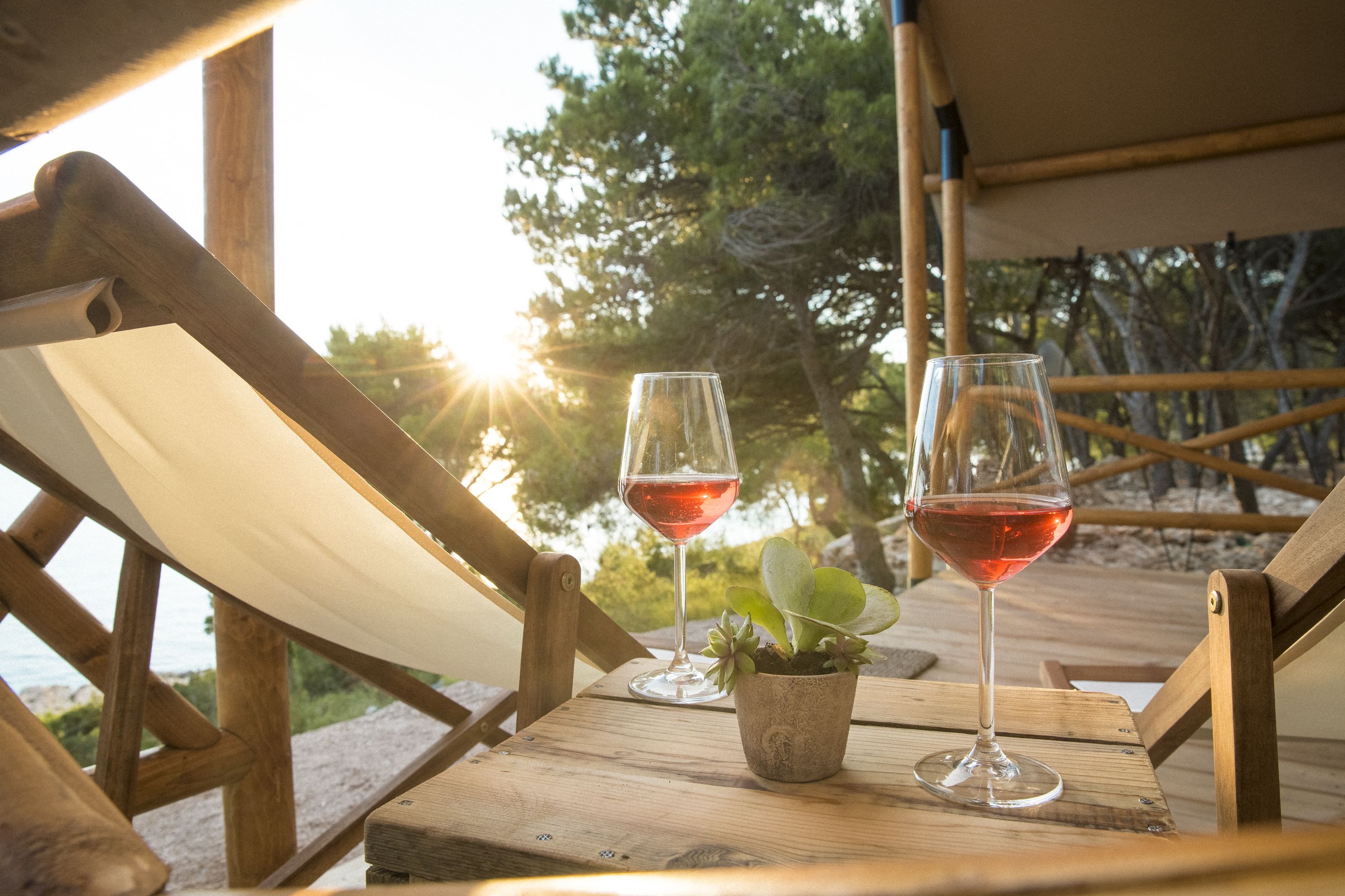 Two glasses of red wine on a wooden table with a small potted plant, set on a wooden deck with a view of the sea and trees in the background.
