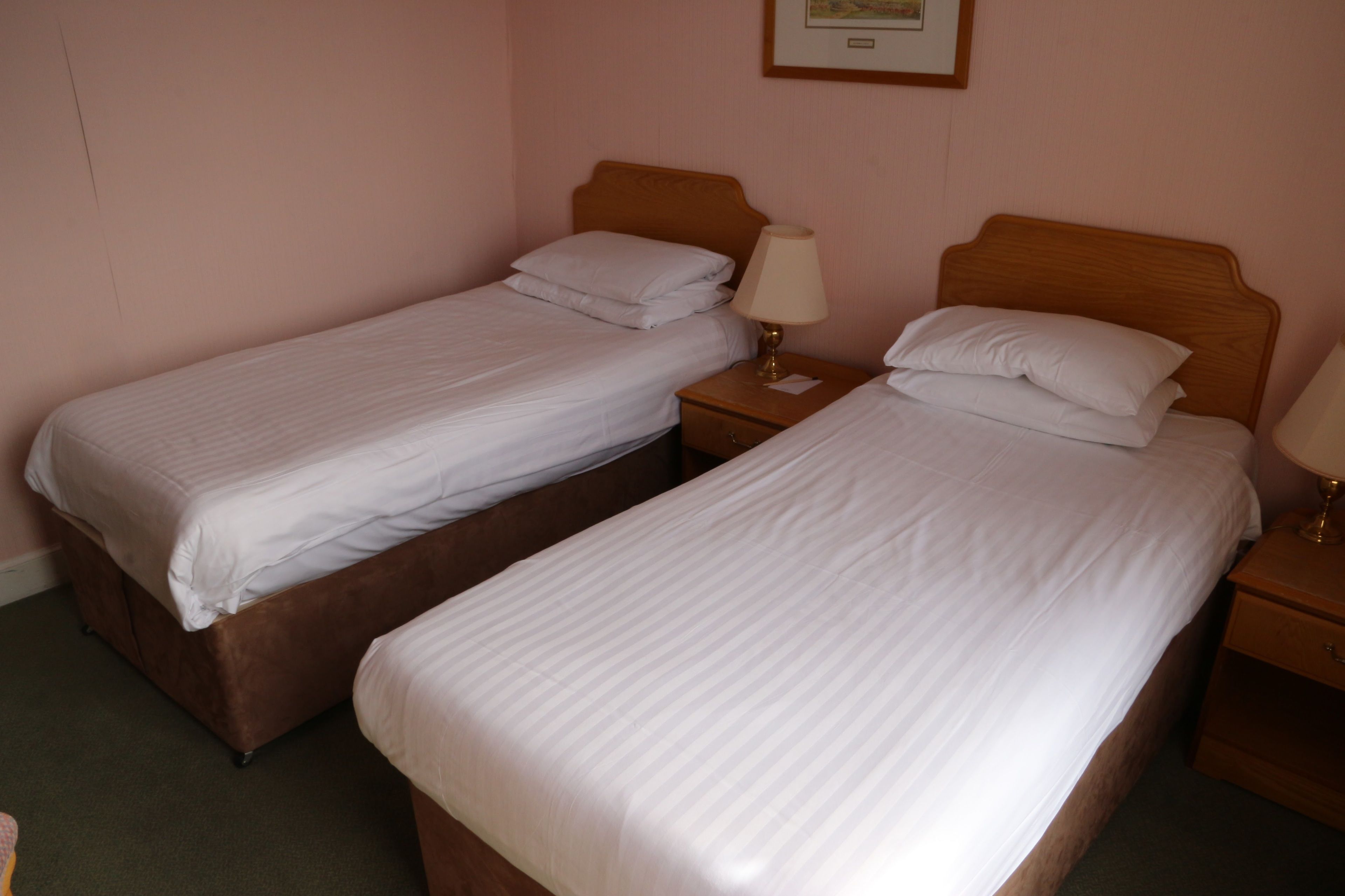 Two single beds with wooden headboards and nightstands, each with a bedside lamp.