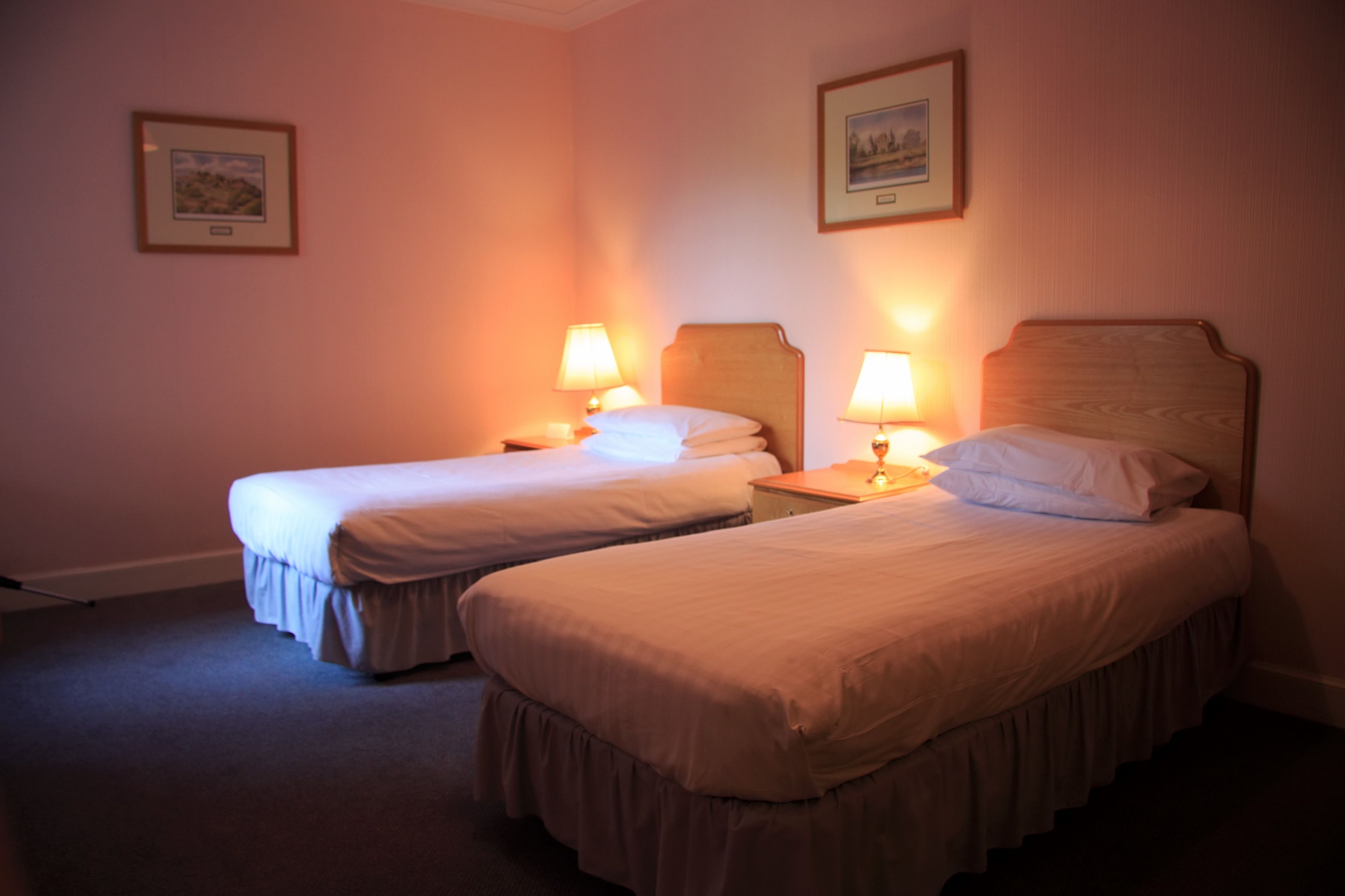 Two single beds with headboards, bedside lamps, and a framed picture on the wall.