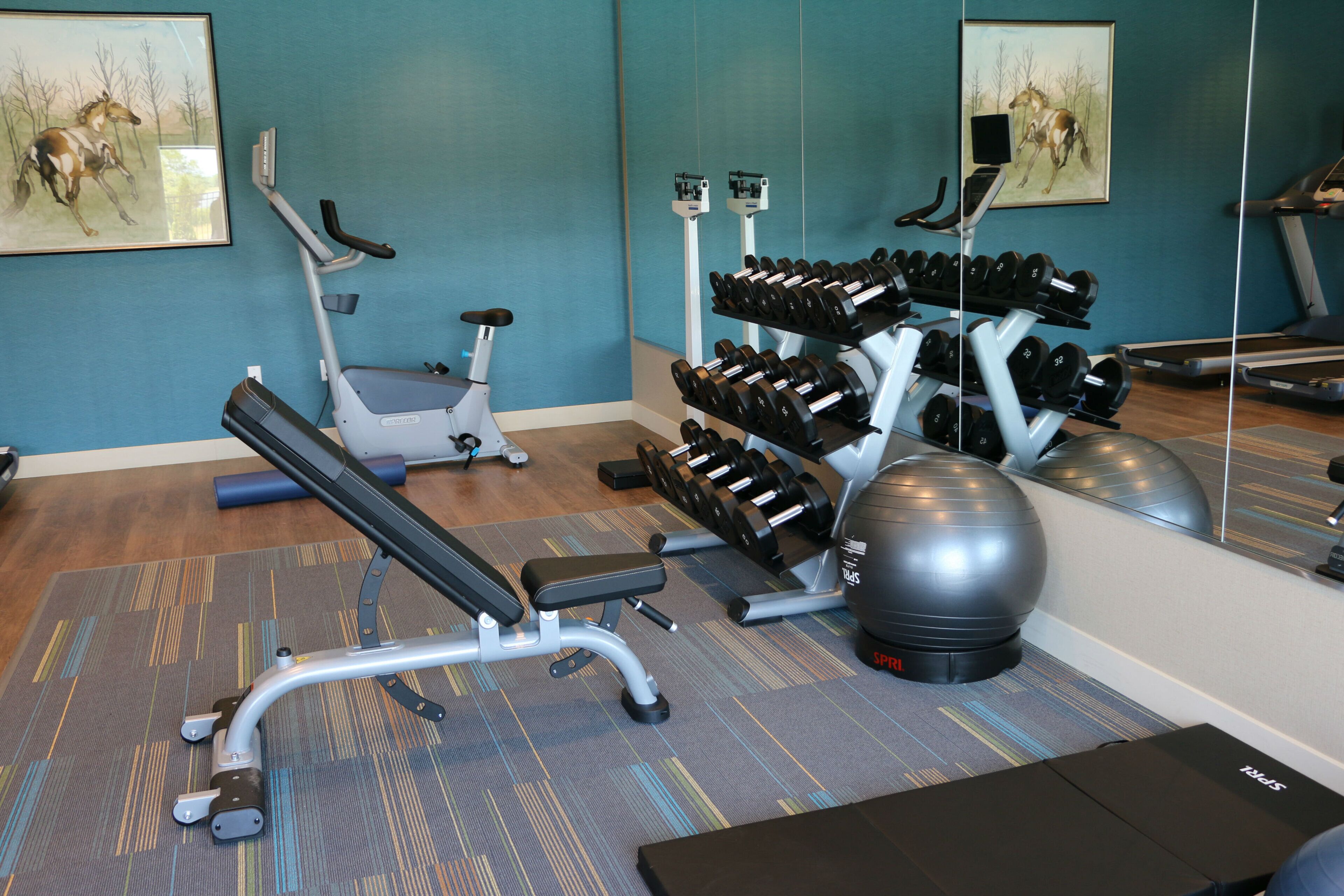 A gym with exercise equipment, including a treadmill, elliptical, dumbbells, and a medicine ball.