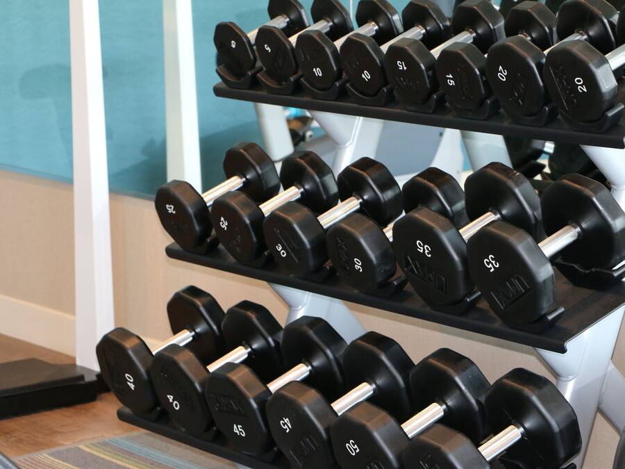 A rack of dumbbells with weights ranging from 5 to 50 lbs.