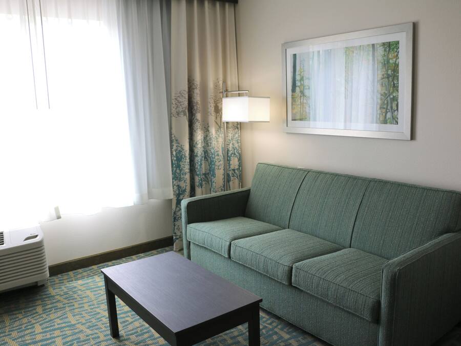 A room with a green sofa, a small table, a lamp, a framed picture on the wall, and a window with curtains.