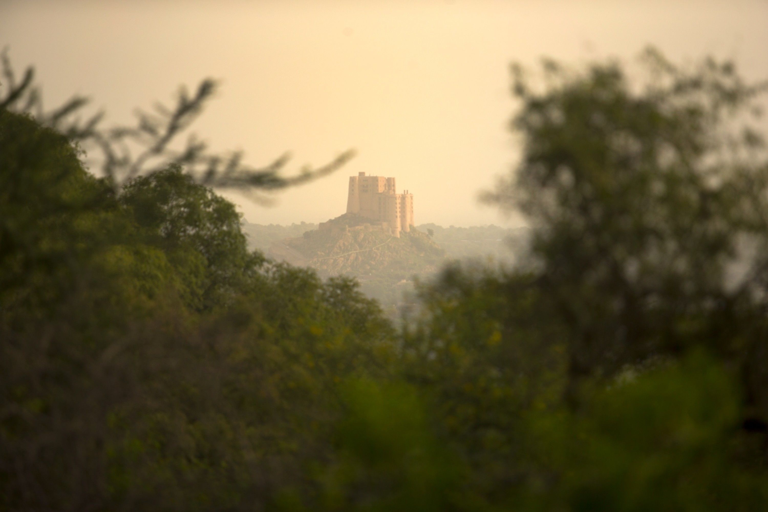 A castle on a hill with dense foliage in the foreground.