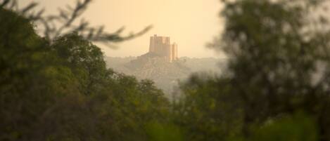 A castle on a hill with dense foliage in the foreground.