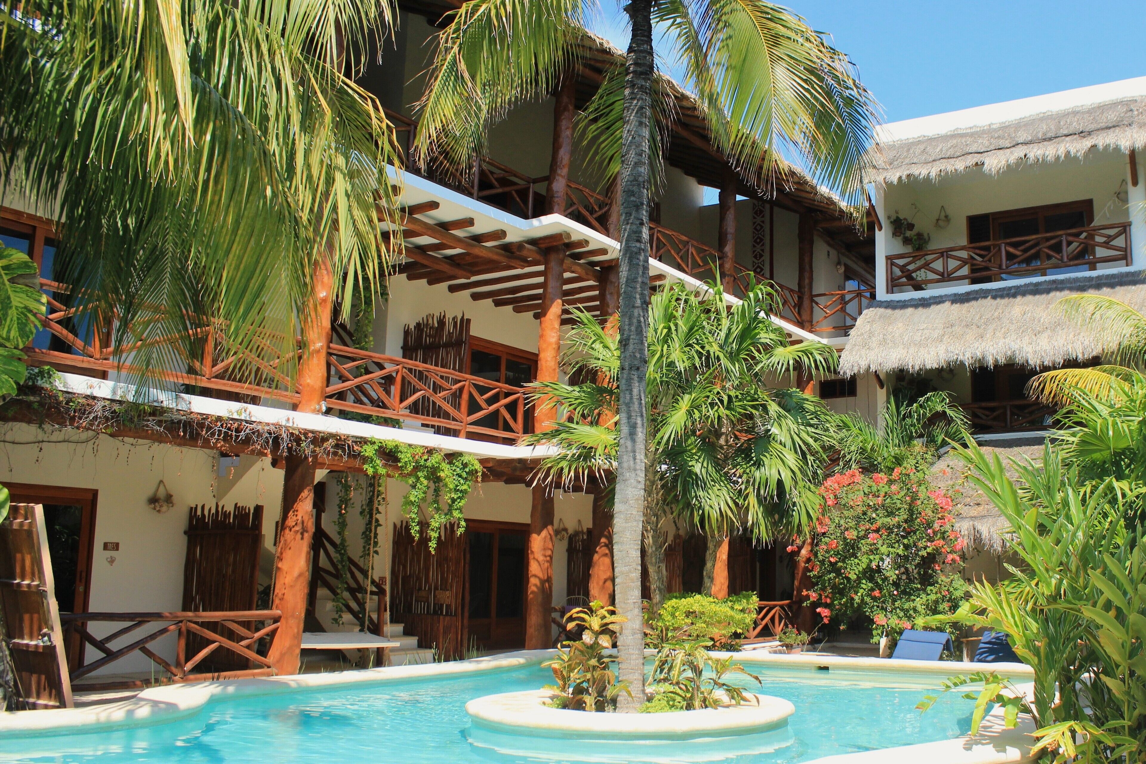 Outdoor pool, sun loungers