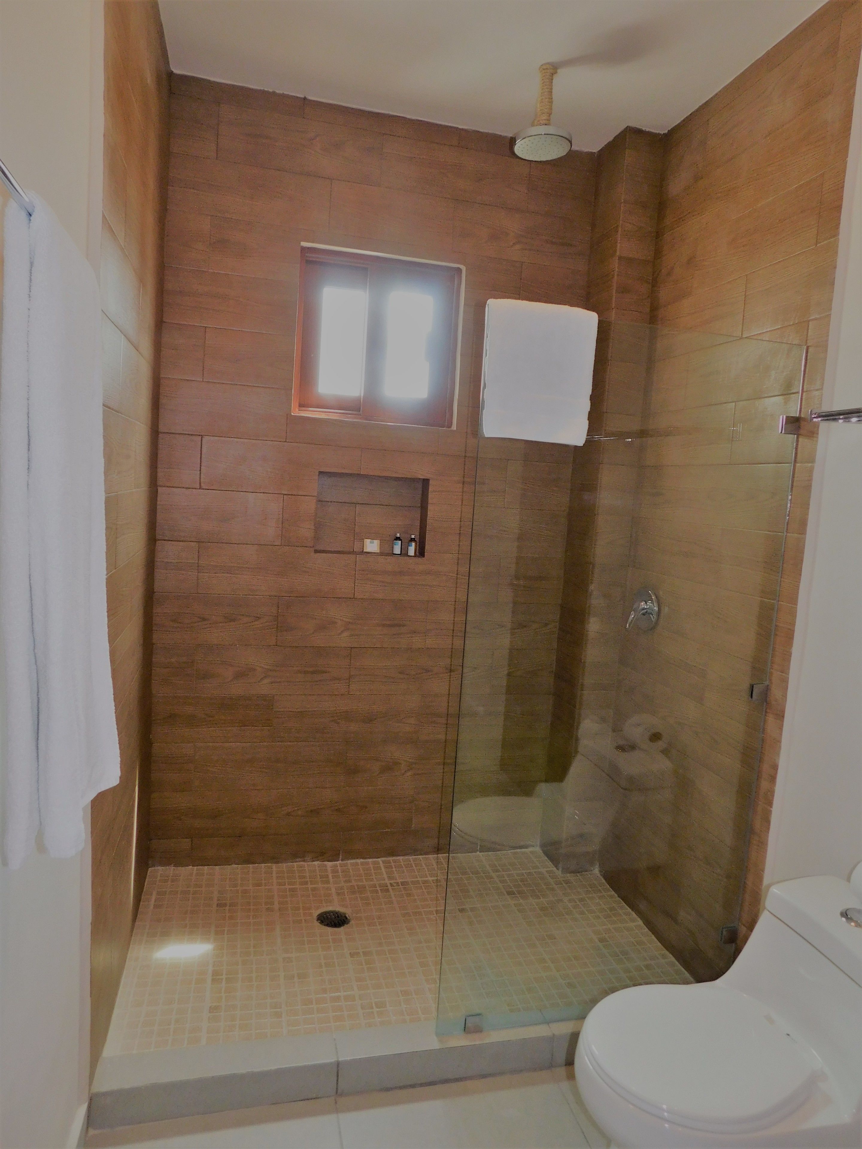 Un baño con ducha de vidrio, inodoro y un pequeño estante con artículos de aseo.
