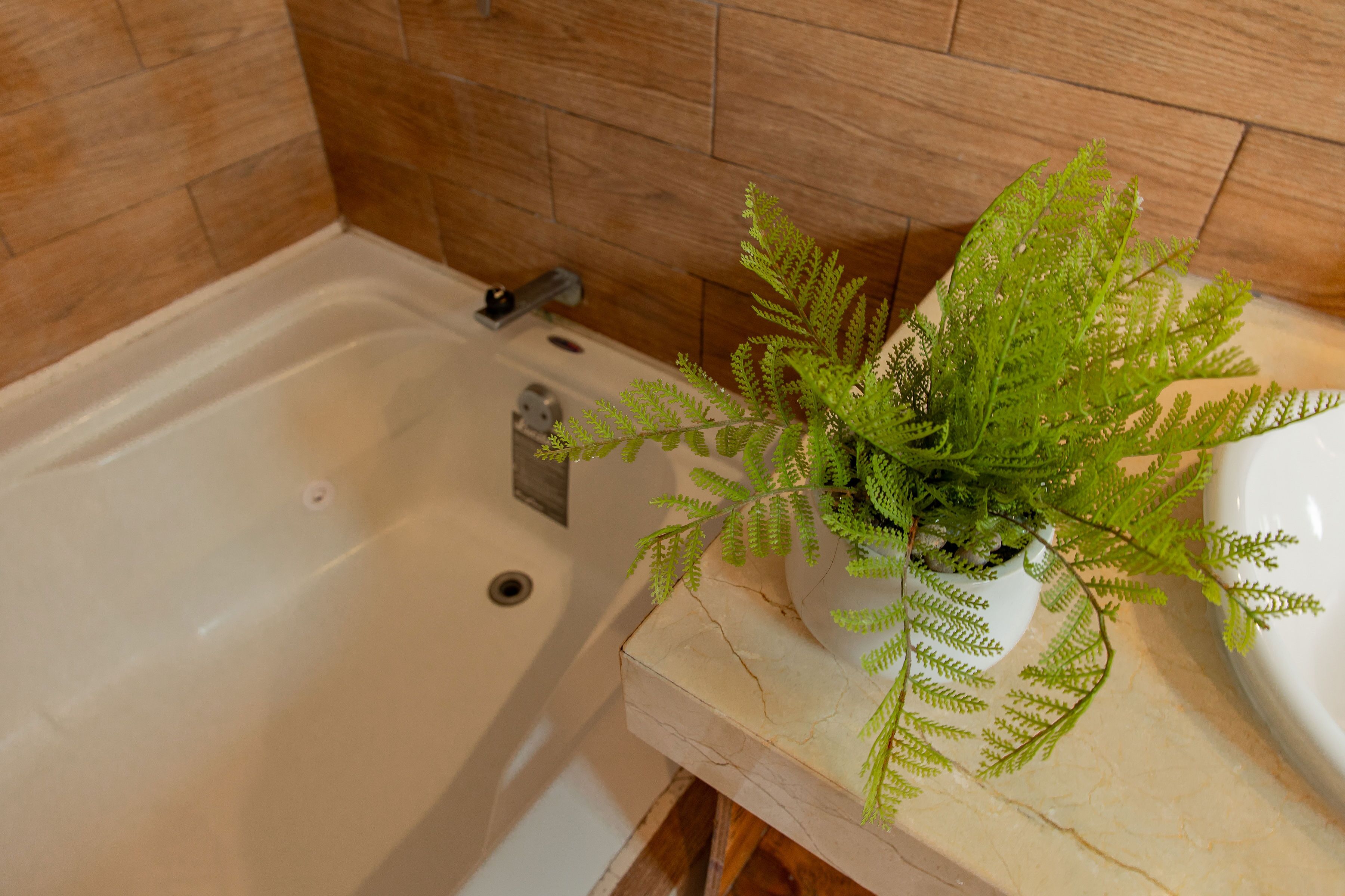 Un baño con bañera, un lavabo blanco y una helecho en maceta sobre la encimera.