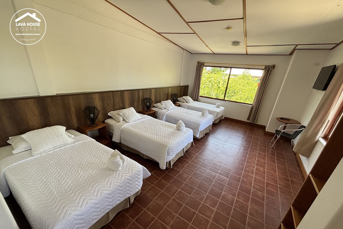 Habitación de hotel con cuatro camas dispuestas en fila, una ventana con cortinas, un televisor de pantalla plana montado en la pared y piso de baldosas.