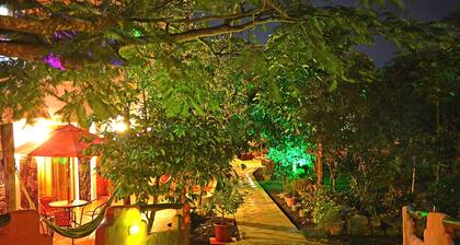 Lava House Hostal