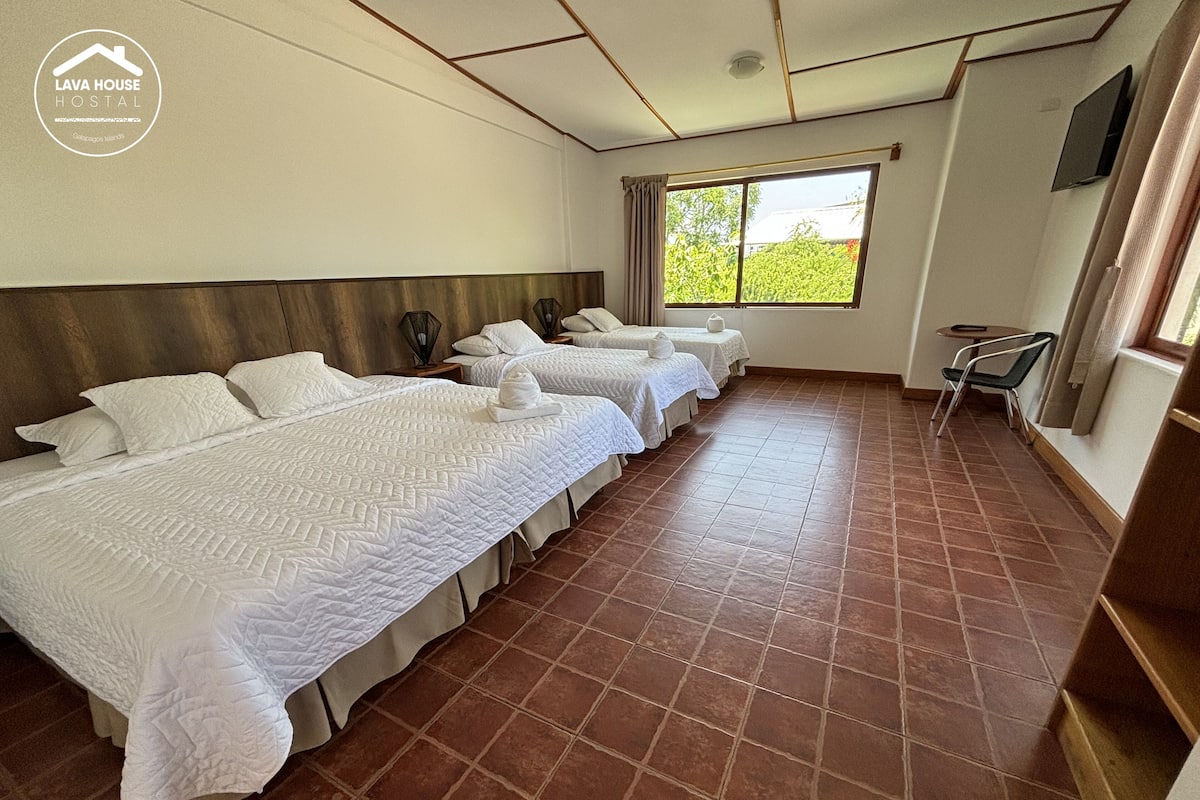 Habitación de hotel con cuatro camas, una ventana con cortinas, una silla y un televisor instalado en la pared.