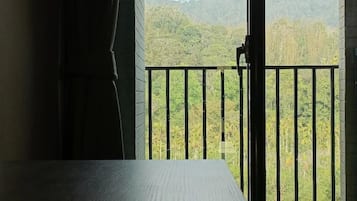 Business-Doppelzimmer | Ausblick vom Zimmer