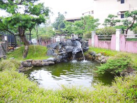 Piscina natural