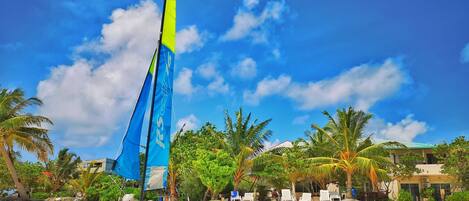 A sailboat named RS CAT 16 on a beach with palm trees and a clear sky.