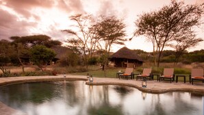 A pool with lounge chairs and a thatched-roof hut, surrounded by trees and a cloudy sky. - Elewana Tortilis Camp (Amboseli)