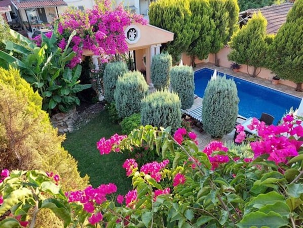 A well-maintained garden with a swimming pool, neatly trimmed hedges, and vibrant bougainvillea flowers. - Dalyan Palace (Ortaca)