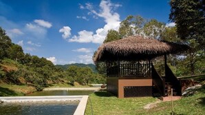 A thatched-roof pavilion with a metal railing, adjacent to a water feature and surrounded by greenery.