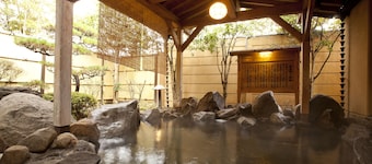 Yamaga Onsen Seiryuso