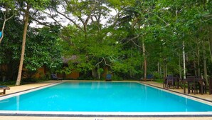 A rectangular swimming pool surrounded by lush greenery and trees. - Bungalow Sud (Koggala)