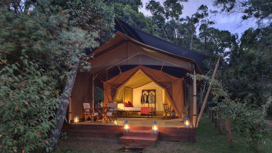 Elewana Elephant Pepper Camp