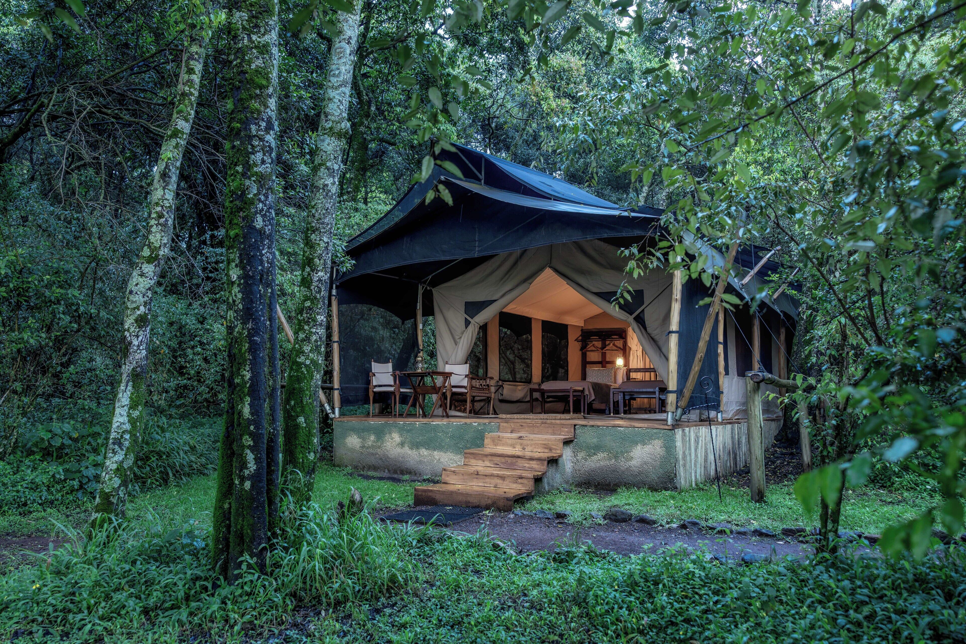 A forested area with a tent-like structure featuring a covered seating area with tables and chairs.