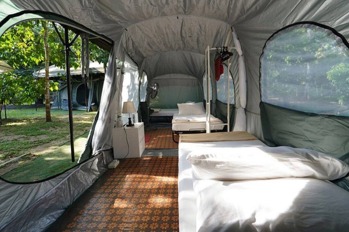 Single Tent | Free cots/infant beds, rollaway beds