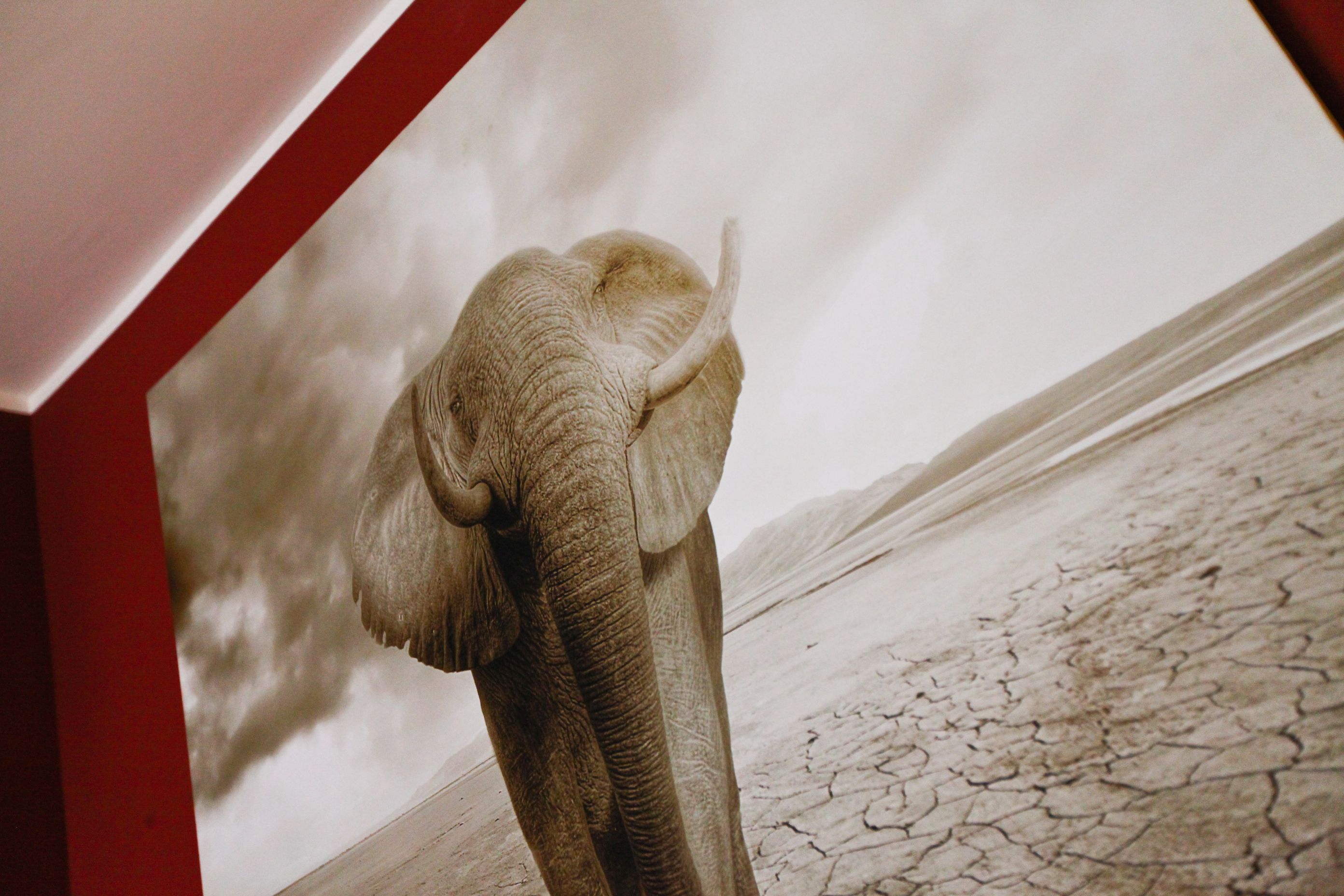 A large elephant statue in a museum setting.