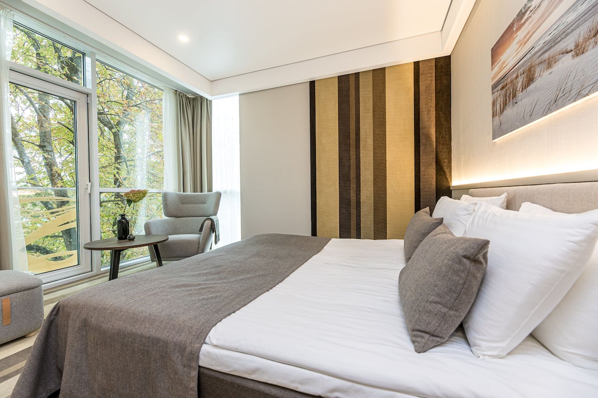 Mini Suite with view