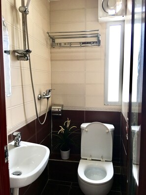 Driepersoonskamer | Badkamer | Een douche, gratis toiletartikelen, een haardroger, handdoeken