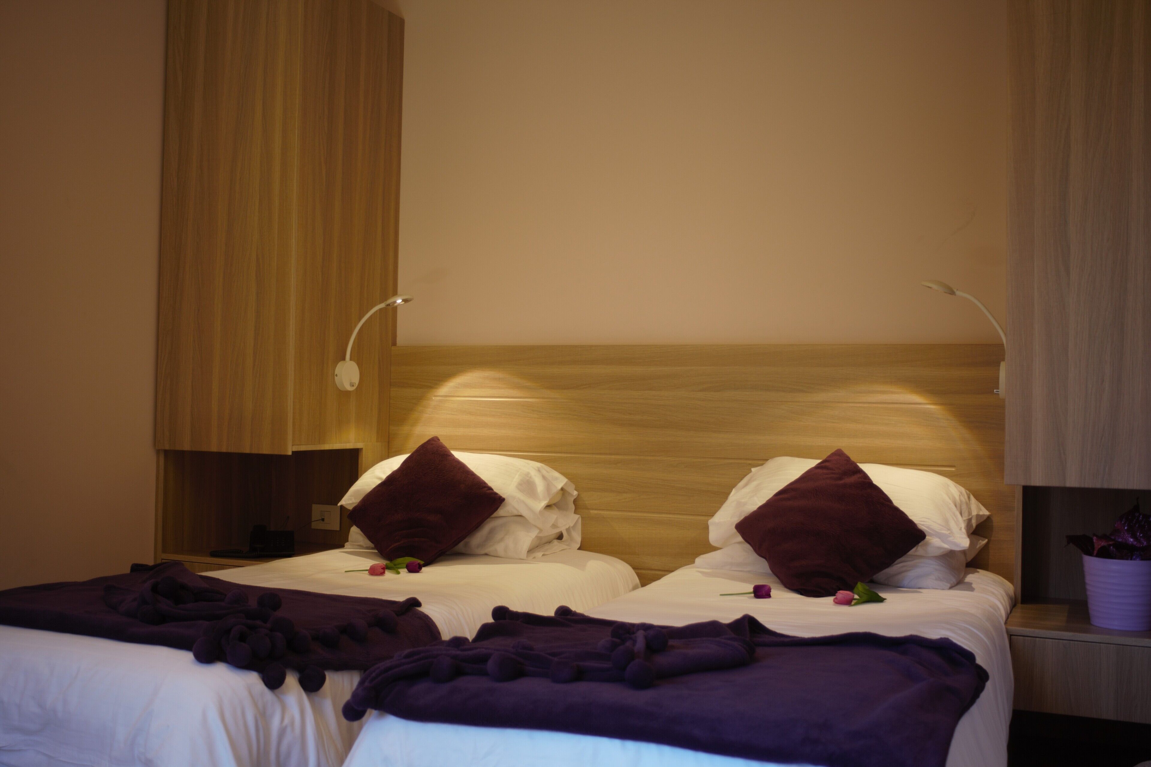 Hotelkamer met twee bedden, elk met een houten hoofdbord, witte beddengoed en paarse sierkussens. Er staat een nachtkastje met een lamp en een plant in pot.