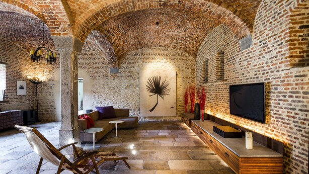 A spacious room with a brick ceiling, a large flat-screen TV, a sofa, and a painting on the wall. - Indrani Lodge (Genappe)