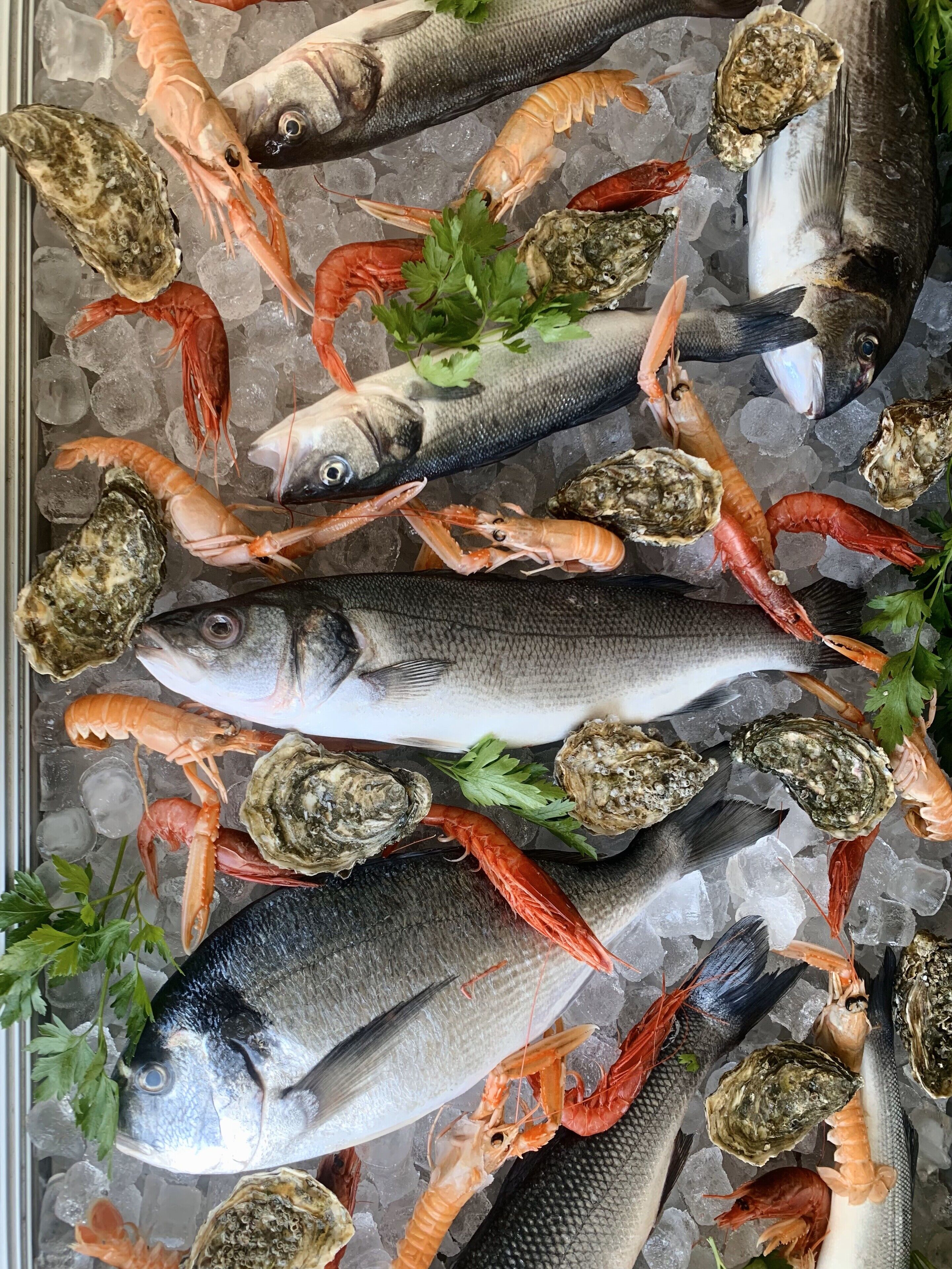 Diversas variedades de mariscos, como pescado y camarones, exhibidos sobre hielo.