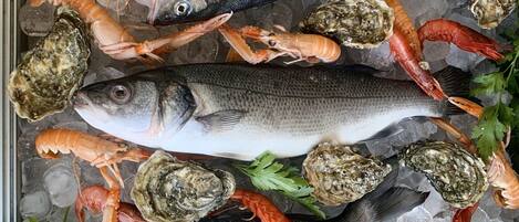 Diversas variedades de mariscos, como pescado y camarones, exhibidos sobre hielo.