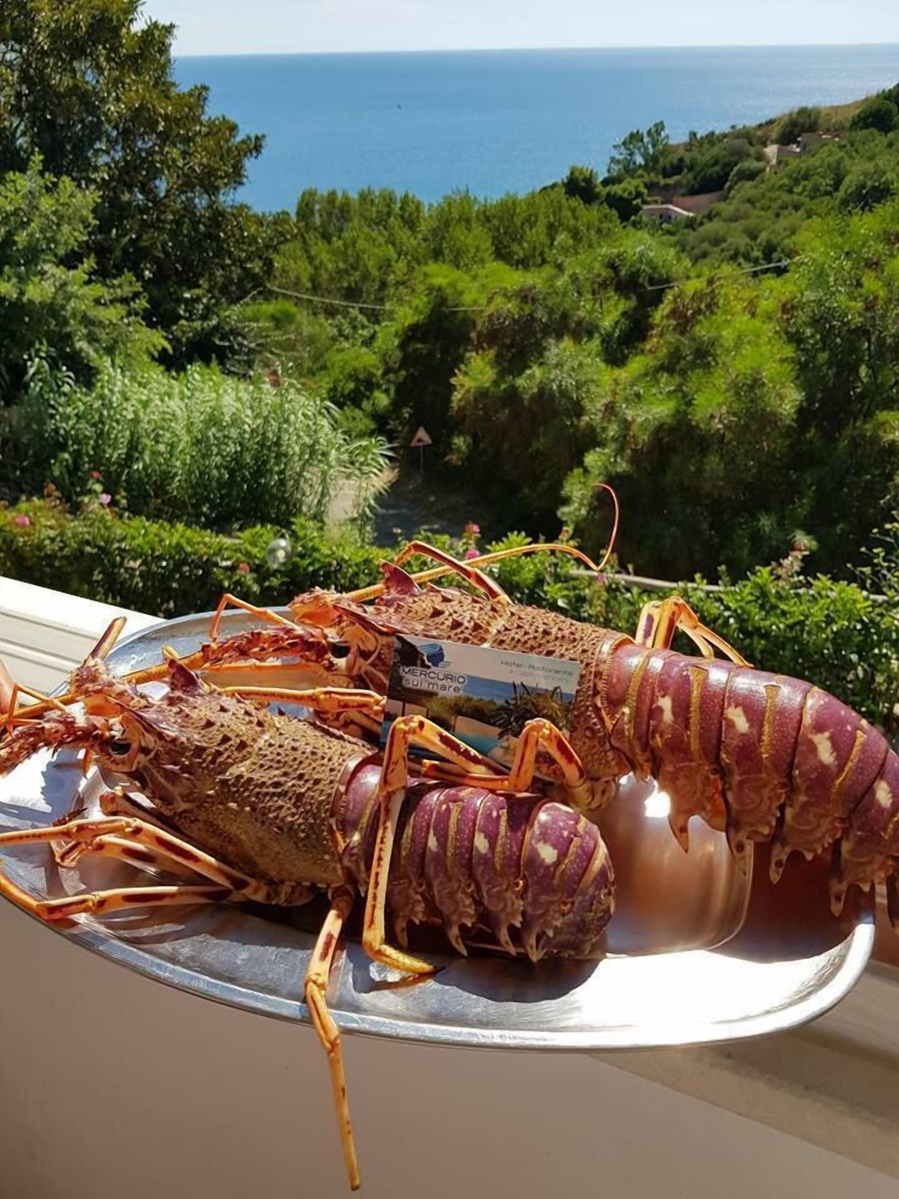 Un langostino sobre una bandeja metálica, con una vista panorámica del mar y follaje verde al fondo.