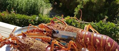 Un langostino sobre una bandeja metálica, con una vista panorámica del mar y follaje verde al fondo.