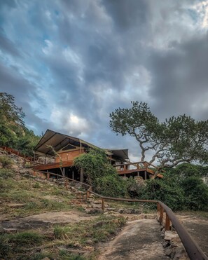A modern building with a sloped roof, wooden deck, and a large tree in the foreground. - Elewana Serengeti Migration Camp (Serengeti)
