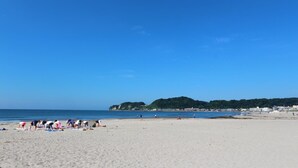 ビーチ
