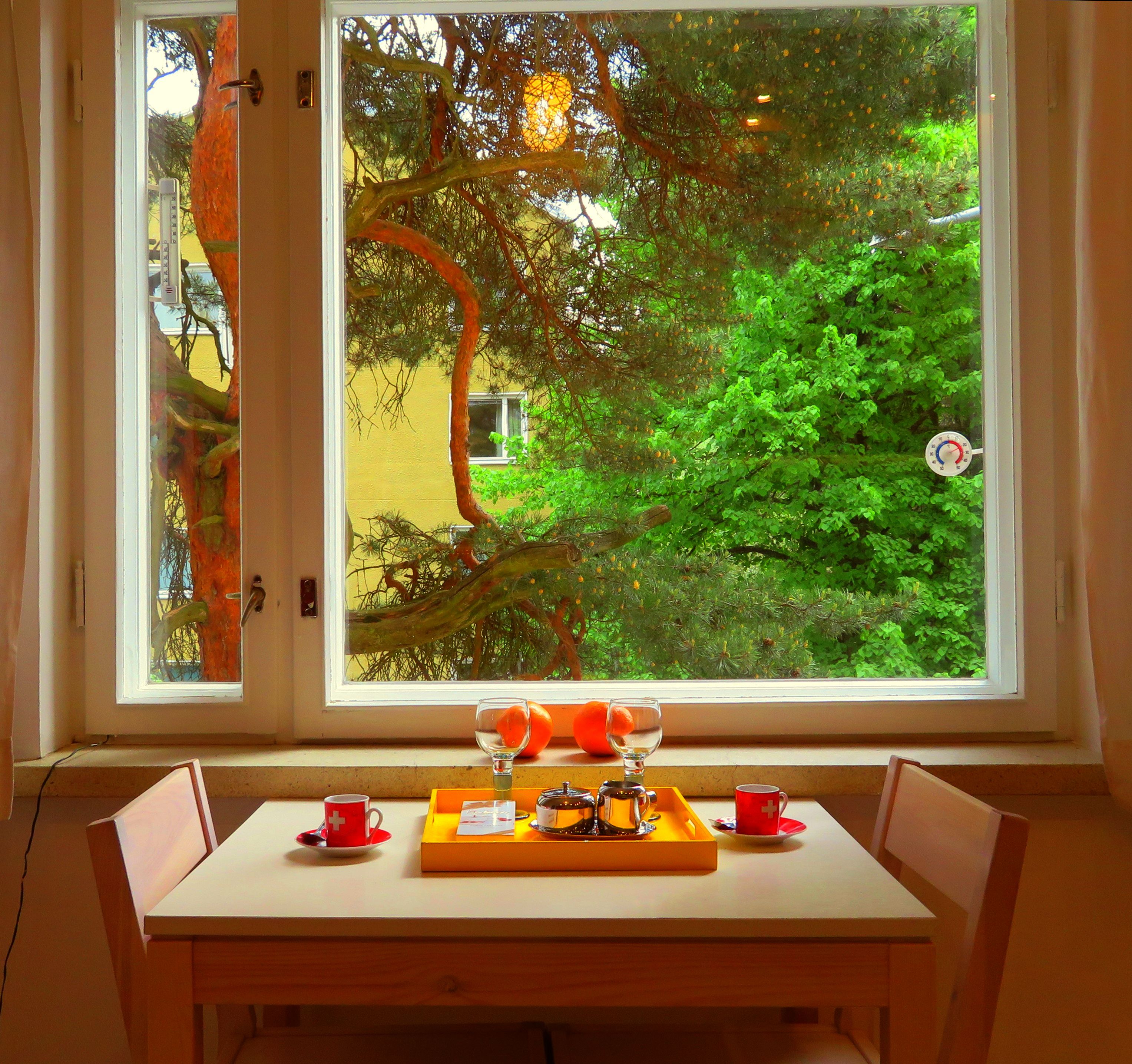 Land view from property