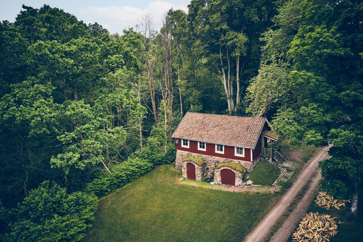 A red house with a tiled roof surrounded by dense green forest.
