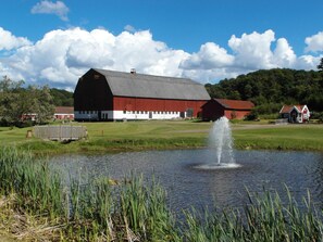 Área da propriedade