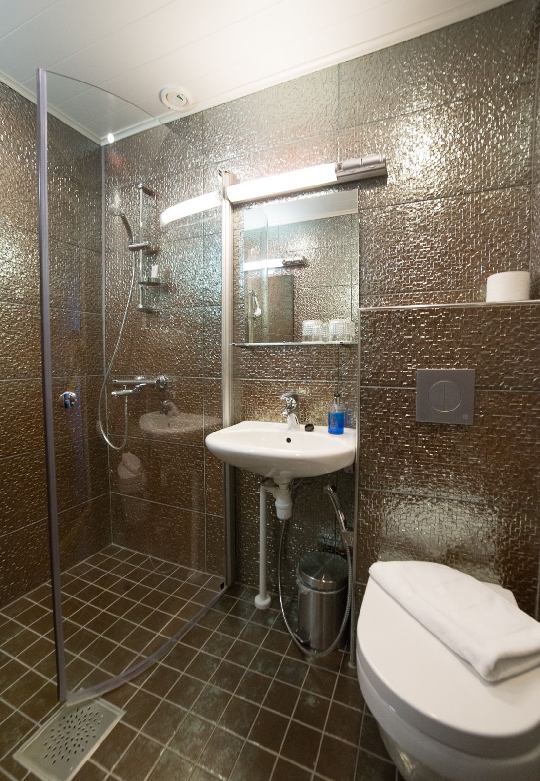 A bathroom with a glass-enclosed shower, a sink with a mirror above it, and a toilet.