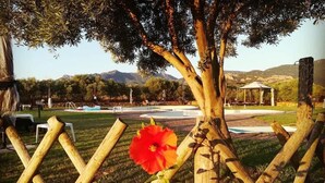A wooden fence with a red flower in the foreground and a gazebo in the background. - Hotel Tanca Irde (Capoterra)