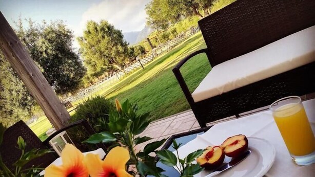 A table with a plate of sliced peaches, a glass of orange juice, and a hibiscus flower. - Hotel Tanca Irde (Capoterra)