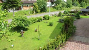 Ein Wohngebiet mit befestigter Auffahrt, Rasenfläche und einem kleinen Garten mit verschiedenen Pflanzen und einem Vogel.