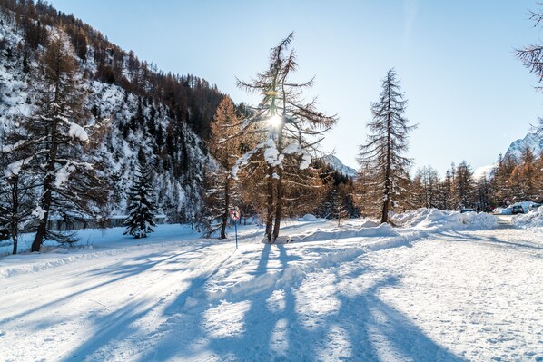 A snow-covered landscape with a clear sky, trees, and a road.