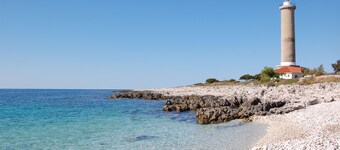 ゴルゴニア スイーツ