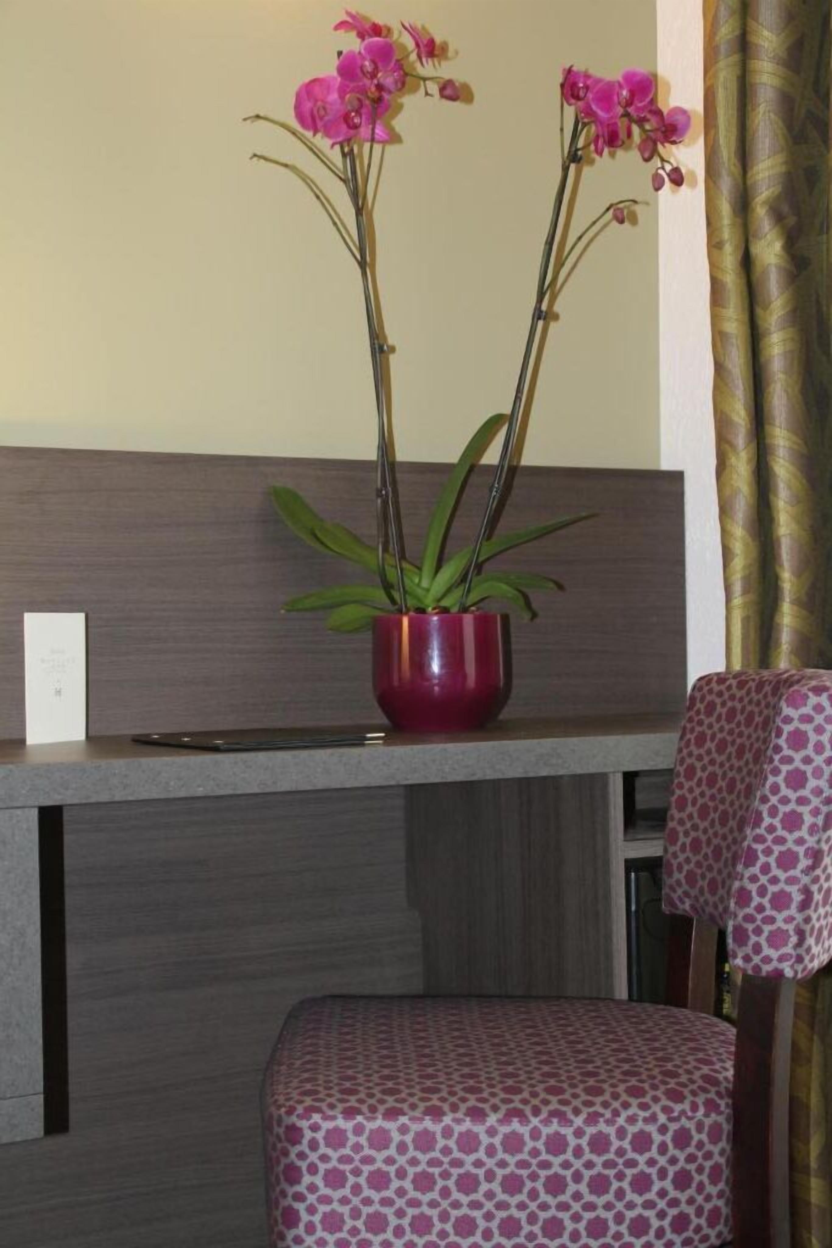 Foto - Hotel Montana