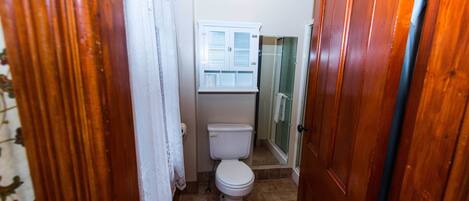 Un baño estrecho con inodoro, un armario pequeño y zona de ducha.
