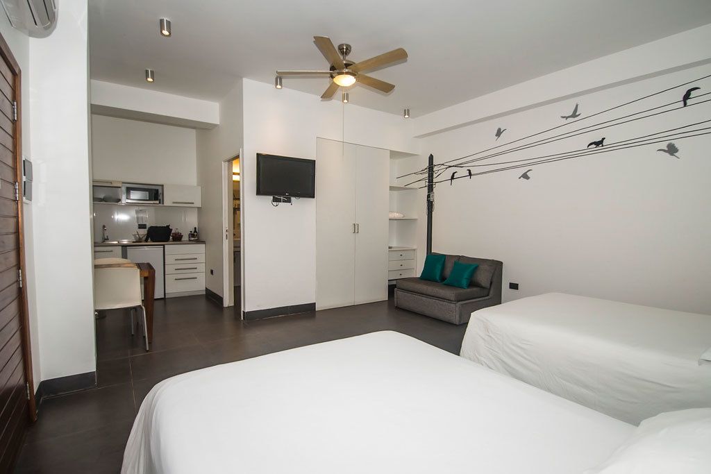 A hotel room with a bed, a desk, a chair, a TV, and a ceiling fan.